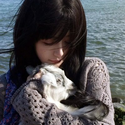 红蝎子之带泪梨花
